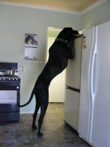 keys on refrigerator